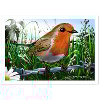 Image 2 of Robbie • Robin Illustration Print