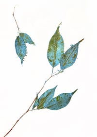 Leaves in blue