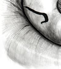Image 4 of Some Lips Are Bigger Than Others