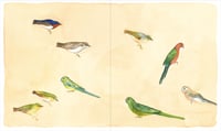Image 2 of The Artist