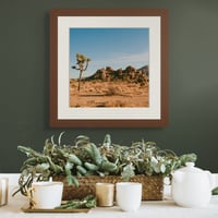 Image 1 of Joshua Tree Print 3