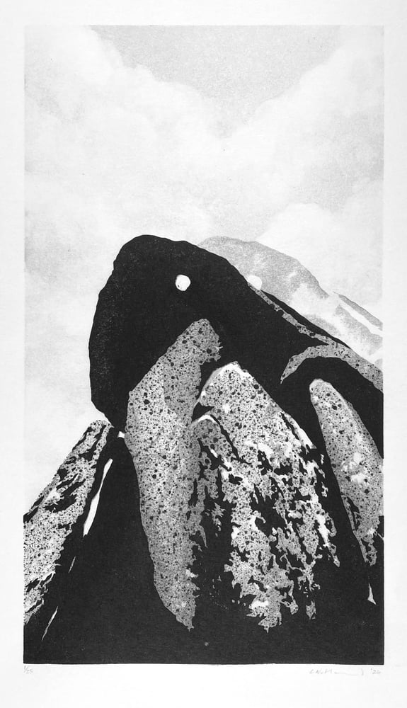 Image of In The Shadow Of The Hollow House, 2024