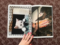 Image 5 of Cat & cats
