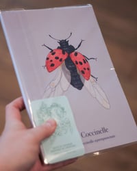 Image 2 of Carnet Coccinelle - A5