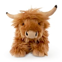 Image 1 of Lying Highland Cow