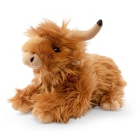 Image 2 of Lying Highland Cow