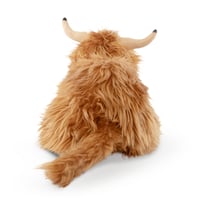 Image 4 of Lying Highland Cow