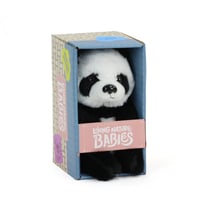 Image 3 of Babies Panda Cub