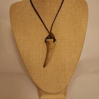 Image 1 of Antler Horn Pendant #3