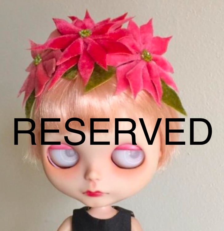 Image of RESERVED FOR BK