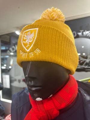 Image of Spirit of 58 Embroidered Beanie in Mustard/off white 