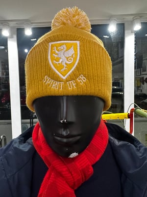 Image of Spirit of 58 Embroidered Beanie in Mustard/off white 