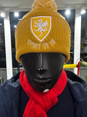 Image of Spirit of 58 Embroidered Beanie in Mustard/off white 