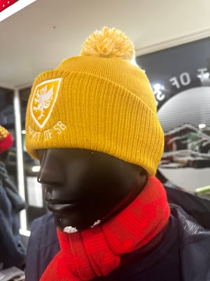 Image of Spirit of 58 Embroidered Beanie in Mustard/off white 