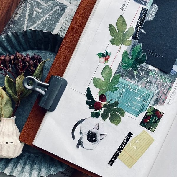 SomeSortOf.Fern : the Fruitful
