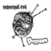 Image of Moisturizer / Internal Rot - Split 7" (Undesirable-030)