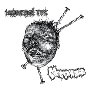 Image of Moisturizer / Internal Rot - Split 7" (Undesirable-030)