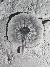 Image 2 of Taraxacum Cerebrum Sticker