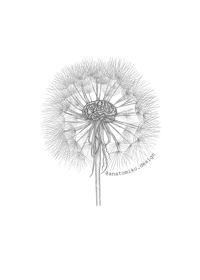 Image 1 of Taraxacum Cerebrum Sticker