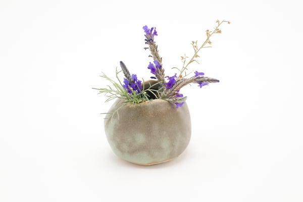 Image of seaweed bud vase (small short)