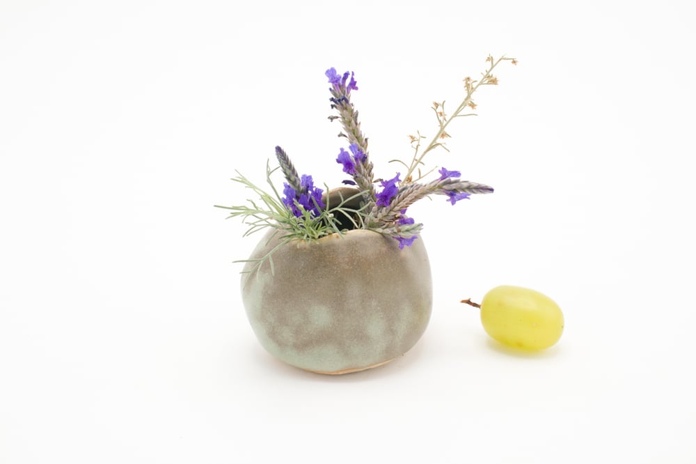 Image of seaweed bud vase (small short)