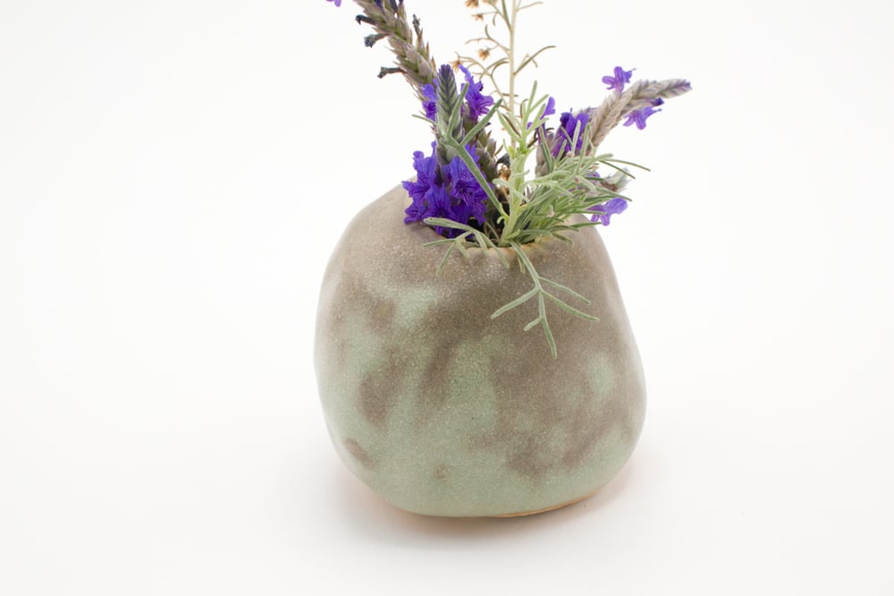 Image of seaweed bud vase (small short)