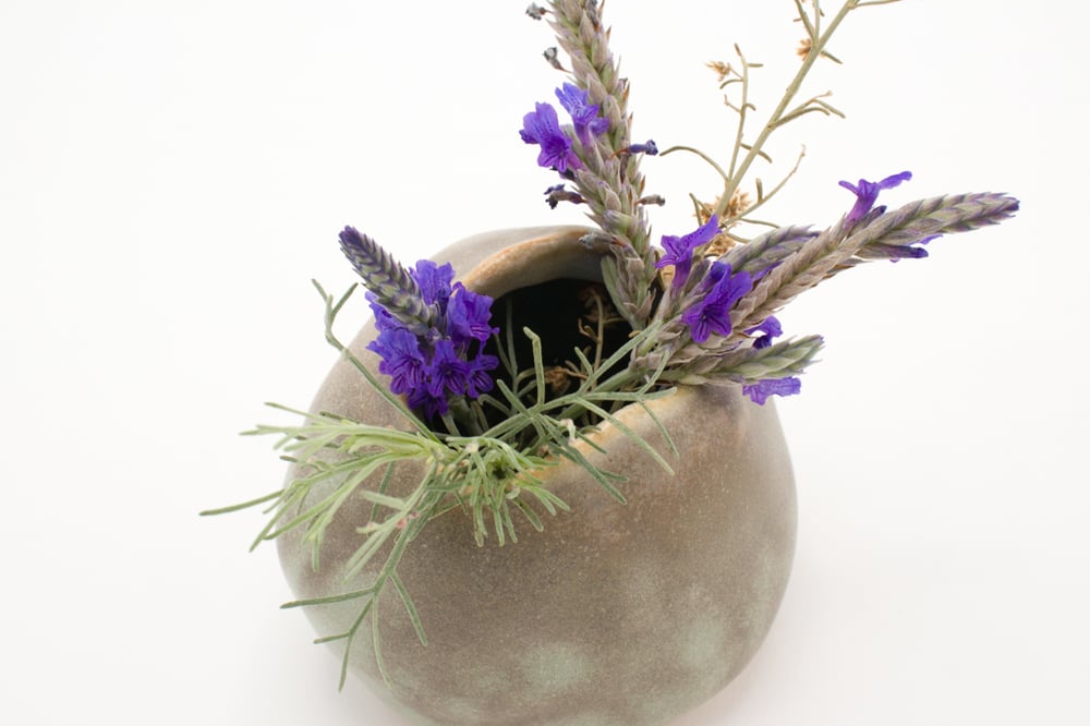 Image of seaweed bud vase (small short)