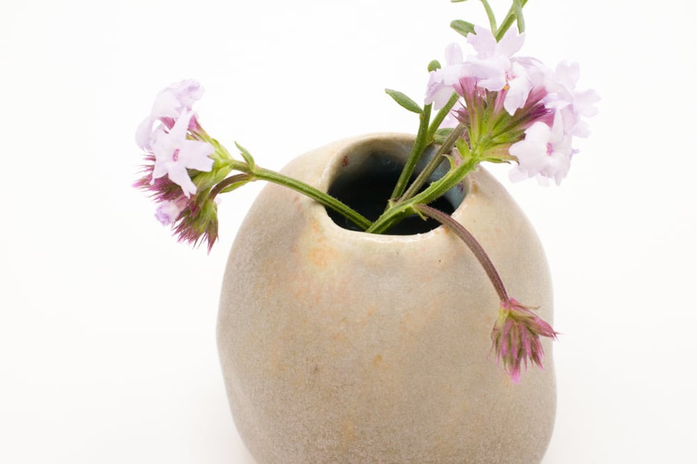 Image of seaweed bud vase (small)