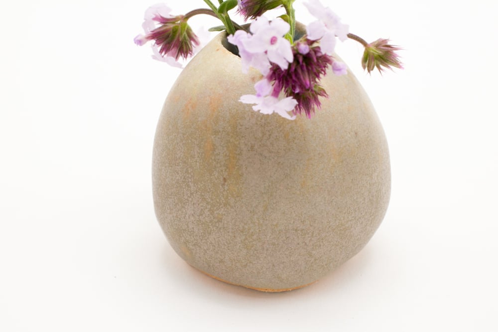 Image of seaweed bud vase (small)