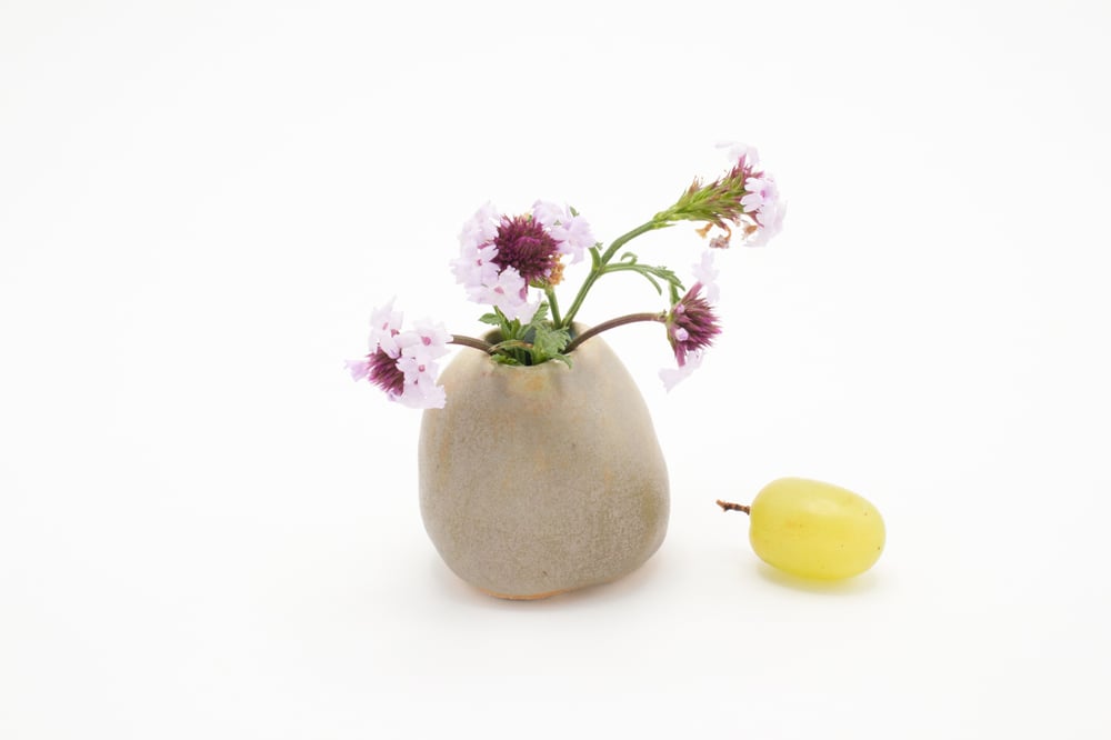 Image of seaweed bud vase (small)