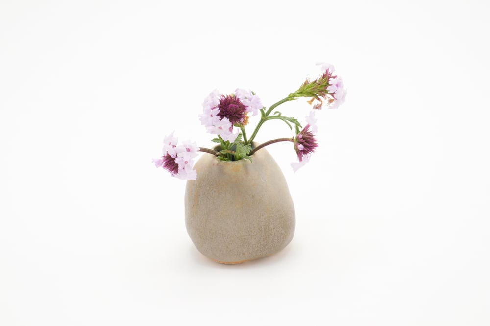 Image of seaweed bud vase (small)