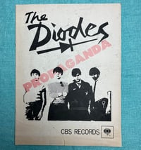 The Diodes - Propaganda zine