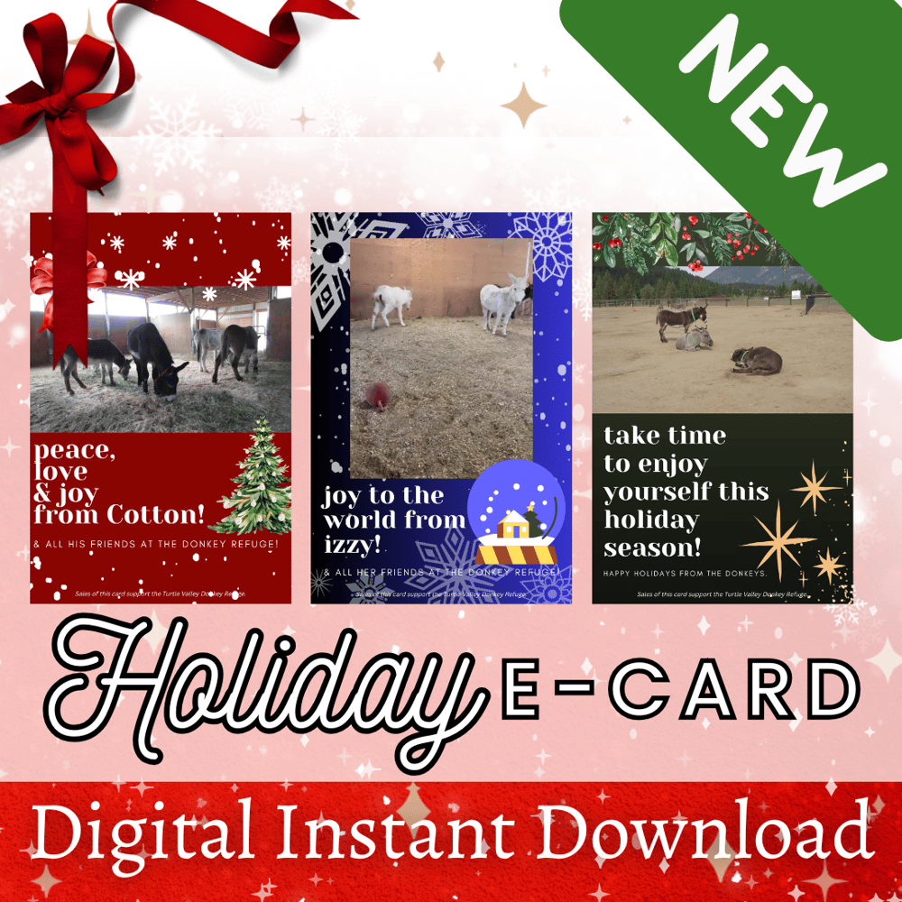 Image of New! Holiday E-Card - Digital Instant Download