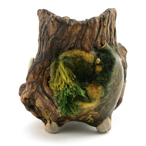 Image of Mossy Stumpfellow