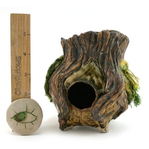 Image of Mossy Stumpfellow