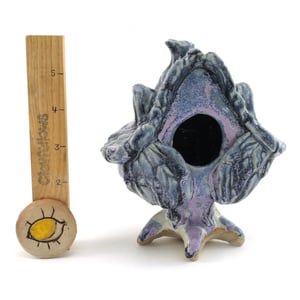 Image of Lavender Homelyfellow