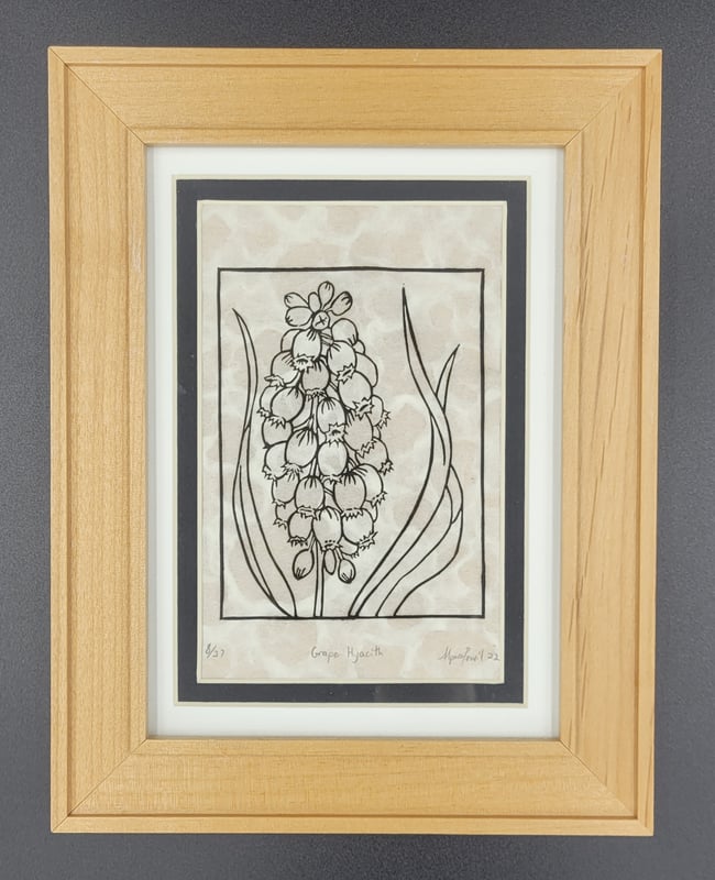 Framed - Grape Hyacinth 
