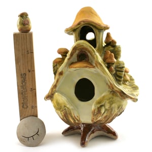 Image of Mushroomed Homelyfellow