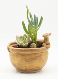 Image 1 of Guardian Planter