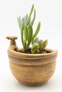 Image 3 of Guardian Planter