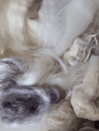 Image 1 of Bombyx Mori Silk Moth Inspired Fiber Kit for blending, carding, spinning, felting