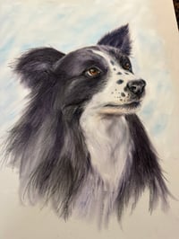 Image 1 of Pet portrits in pencils and pastels 