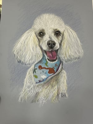 Image of Pet portraits in pencils and pastels