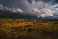 Golden Hour, Yellowstone