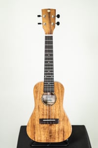 Image 1 of Windward Ukuleles Custom Koa Gloss Concert