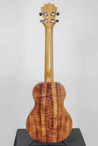 Image 5 of Shop Order KoAloha KTMR-00 Spruce Top & Curly Koa Rosette Tenor Gloss