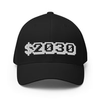 Image 5 of "$2030" Flex-Fit twill cap