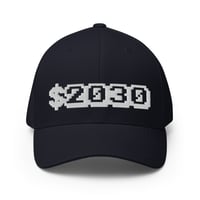 Image 4 of "$2030" Flex-Fit twill cap