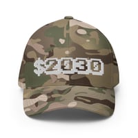 Image 2 of "$2030" Flex-Fit twill cap