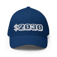 Image 3 of "$2030" Flex-Fit twill cap